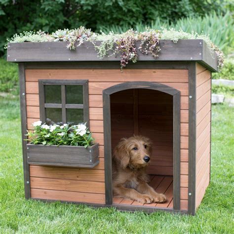 Boomer & George Lucky Green Roof Dog House - ROC 161103B Large Dog House, Wooden Dog House, Dog ...