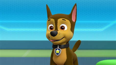 Chase/Gallery/Pups Save Chicken Day | PAW Patrol Wiki | FANDOM powered by Wikia