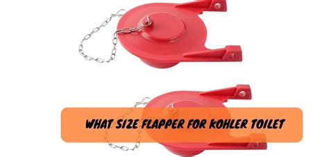 What Size Flapper for Kohler Toilet? Toiletlife Guide!