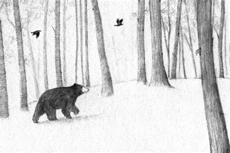 Bear in the Woods Print - Etsy