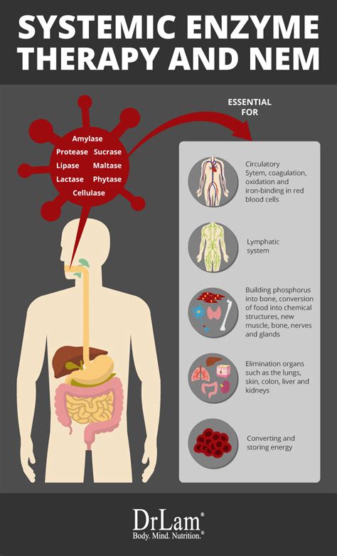 Systemic Enzyme Therapy: Powerful Techniques for Improving Your Health