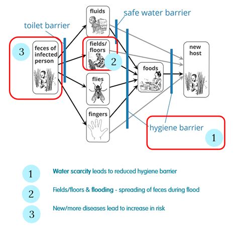 Why hygiene matters in the climate change discourse :: IRC