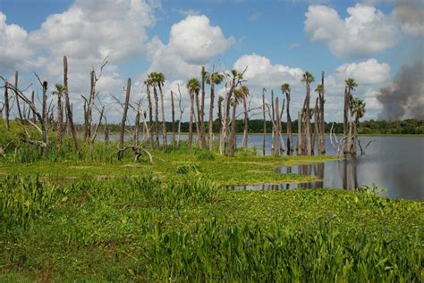 Orlando Wetlands Park | Trails & Travel