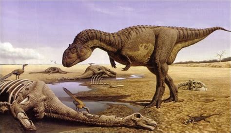 Abelisaurus was a large theropod dinosaur. It's only known from a partial skull, so its exact ...