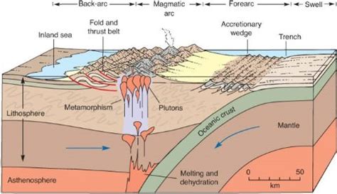 Continent-Ocean Convergence, Formation of Fold Mountains - PMF IAS