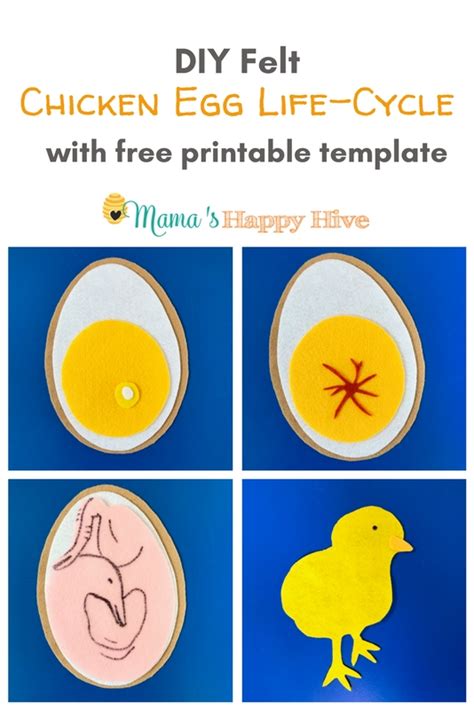 DIY Felt Chicken Egg Life-Cycle with Printables