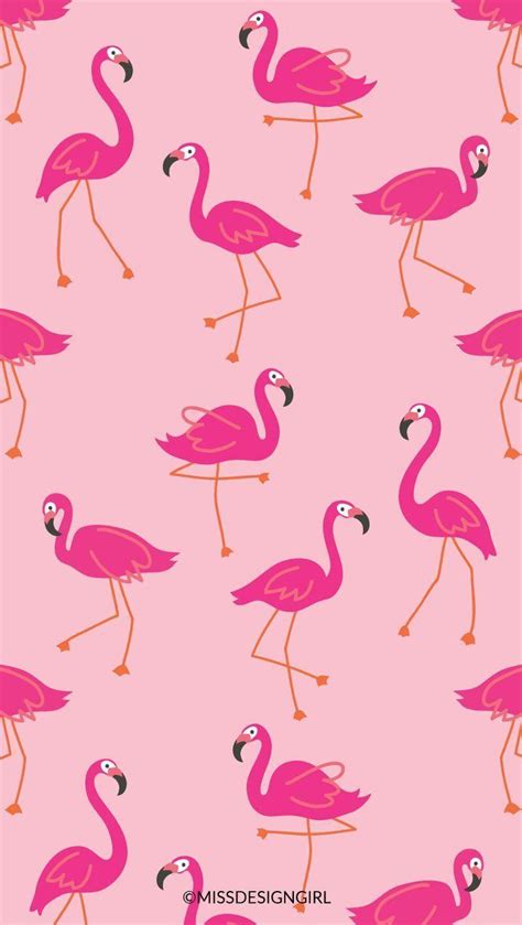 Flamingo Phone Wallpapers - Top Free Flamingo Phone Backgrounds ...