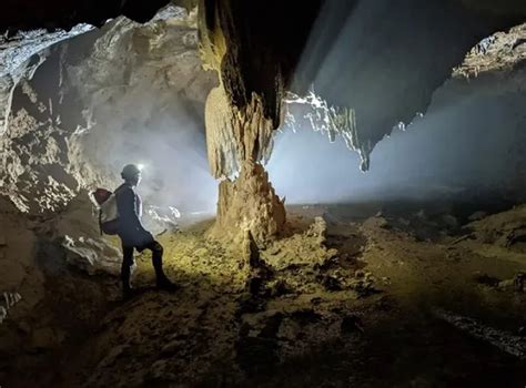 Five caves discovered in Quảng Bình Province