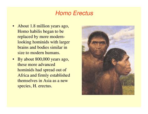 Homo Erectus Upright Man Fire