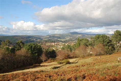 Nature Photography in Portugal | ZéMarks | Flickr