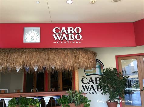 Cabo Wabo - Sammy Hagar's restaurant | Los angeles travel, Favorite ...
