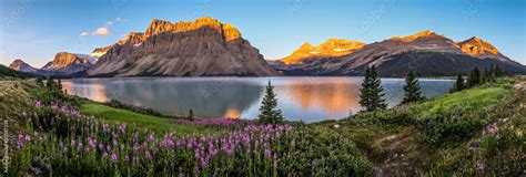 Panorama of sunrise at Bow Lake, Banff National Park Stock Photo ...