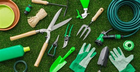 A Beginner's Guide to Gardening Tools - Week 99er