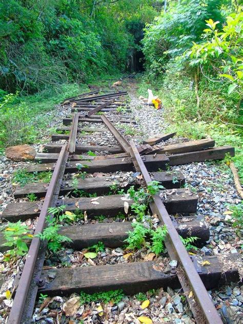 Abandoned Railroad Tracks | Trilhos de trem, Lindas paisagens, Trilhos da ferrovia