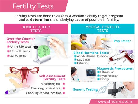 Fertility Tests | SheCares