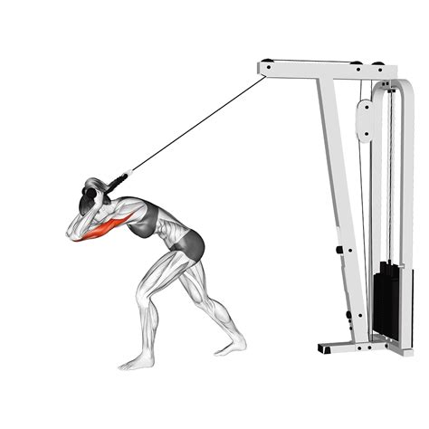 Lat Pulldown Machine Exercises: Attachments And, 44% OFF