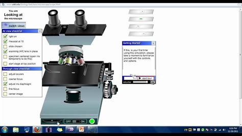 Using The Microscope Lab Answers