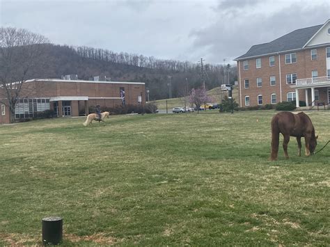 The Iron Blade: Ferrum College Learned About Agriculture