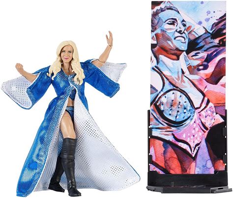 Capture the blowout action of WWE® Superstars with this Elite Collection™ figure! Featuring one ...