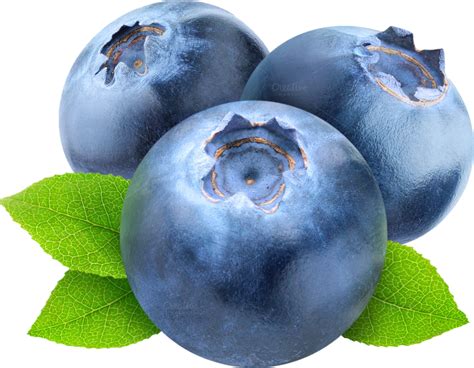 Blueberries PNG Image - PurePNG | Free transparent CC0 PNG Image Library