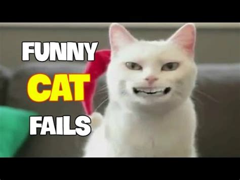 Funny Cat Fails 2017 (Part 1) || Best Fails Compilation By FailADD ...