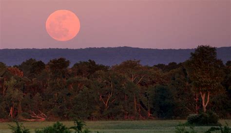 The moon illusion: why the moon looks so weirdly huge right near the ...