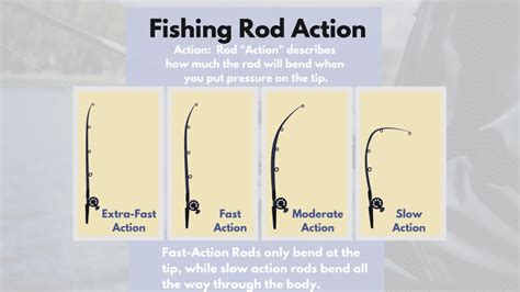 How to Choose a Fishing Rod - Selecting The Right Rod - RangetoReel