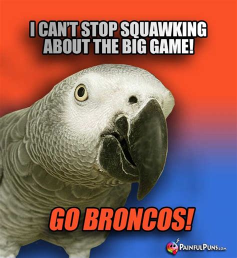 Denver Broncos Jokes, Animal Fan Bronco Puns 6 | PainfulPuns.com