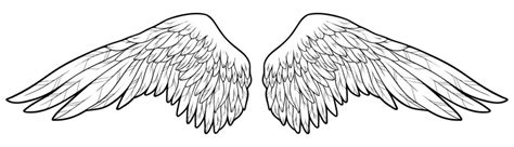 Angel Wings PNG |Watercolor Clipart Bundle | lupon.gov.ph