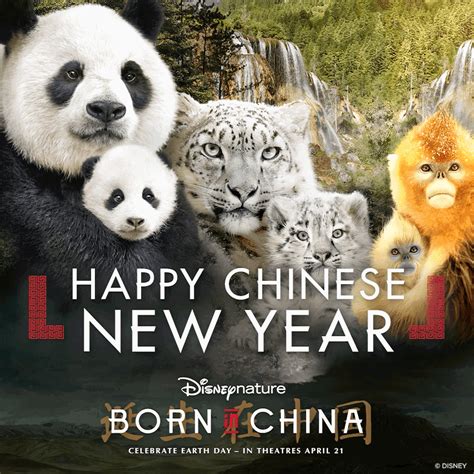 Go See Disneynature’s New Documentary, “Born In China” In Theaters Now ...