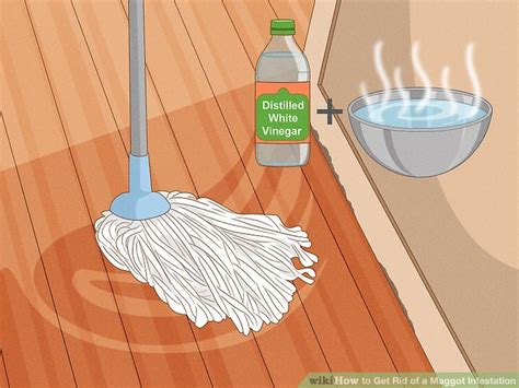 4 Ways to Get Rid of a Maggot Infestation - wikiHow