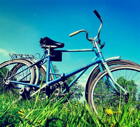 Vintage old garden bicycle stock photo. Image of nature - 40164786