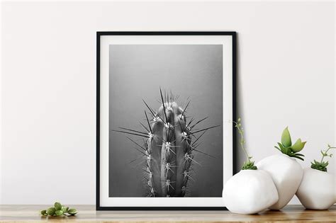 Cactus Black and White Photography Wall Art Print Cactus - Etsy