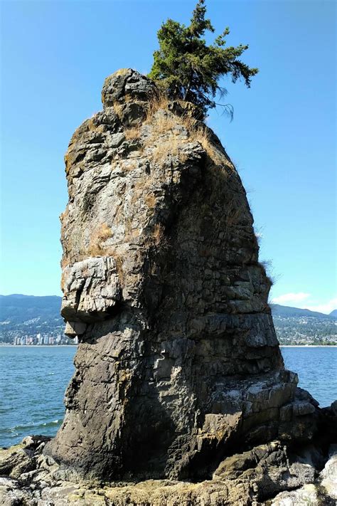 Stanley Park Seawall Trail - British Columbia, Canada | AllTrails