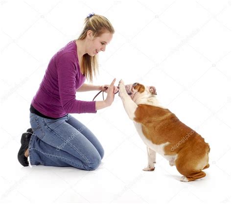 Dog obedience training — Stock Photo © willeecole #13921310