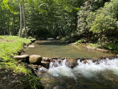 Lil Snowbird Farm primitive camping - Hipcamp in Robbinsville, North ...