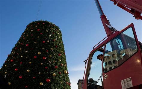 How Union Square’s huge Christmas tree is unwrapped, rustproofed