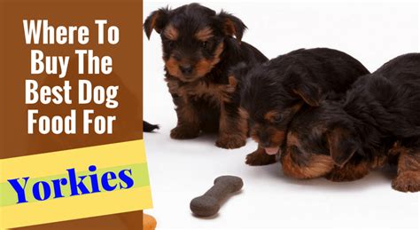 Where To Buy The Best Dog Food For Yorkies Or Yorkie Puppies?