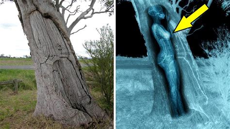 9 Strange Things found in Unexpected Places | Simply Amazing Stuff