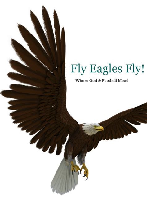 FLY EAGLES FLY! - StoneGable