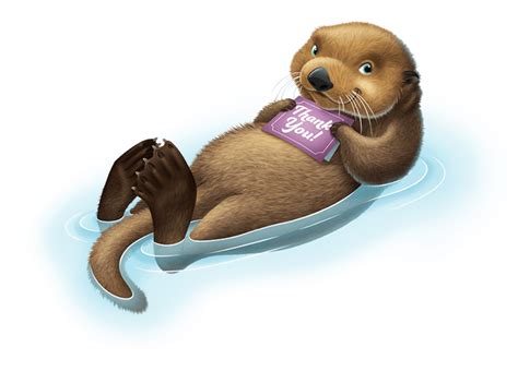 Download High Quality otter clipart transparent background Transparent ...