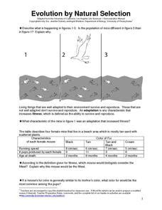 Evolution by Natural Selection 6th - 9th Grade Worksheet | Lesson Planet