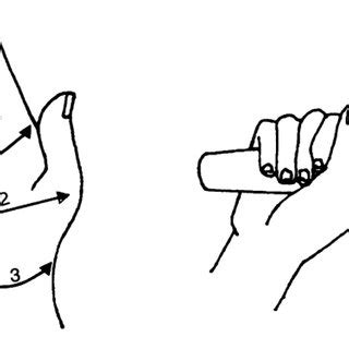 Important Hand Dimensions . Circumference of hand . Breadth of hand .... | Download Scientific ...