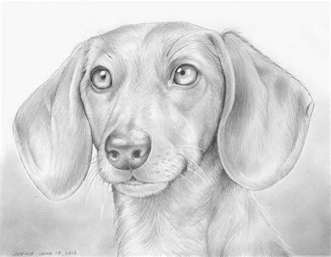 Sketch of the Day: Dachshund Tribute