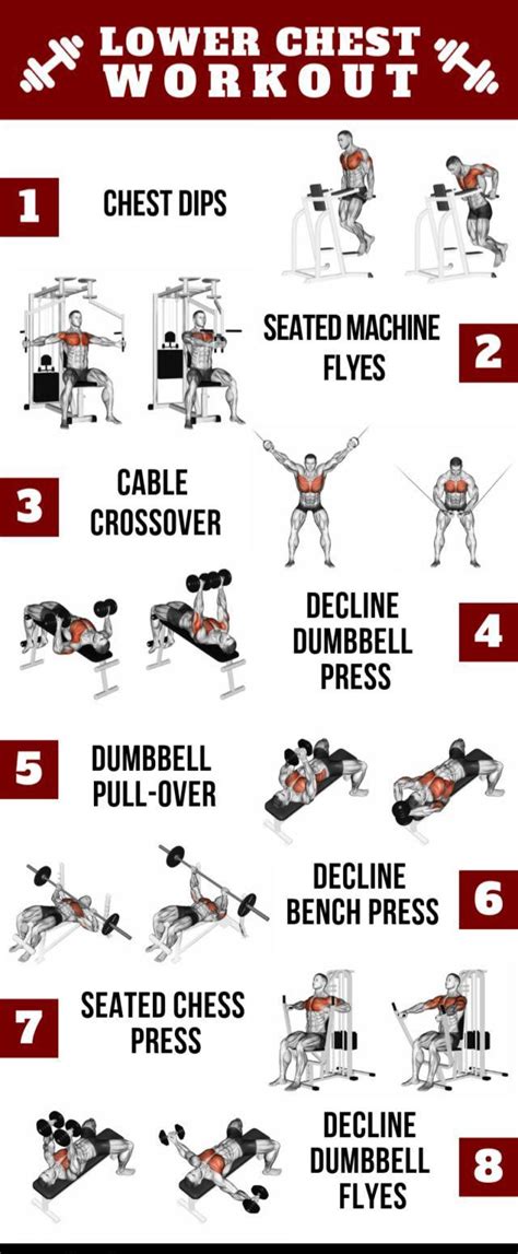 Best exercises for your lower chest to get that nice shape | Lower chest workout, Chest workout ...