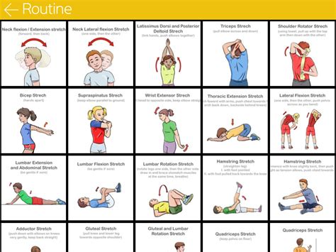 Stretch It | Stretching, Warm Up & Cool Down Task Cards | Exercise for kids, Workout warm up ...