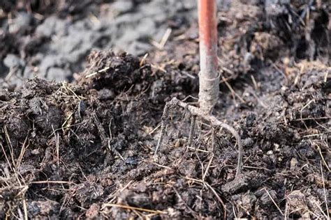 How to Compost Horse Manure Fast? - Grower Today