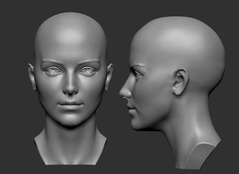 Female head 5 | 3D Print Model | 3d face model, Female head, Art