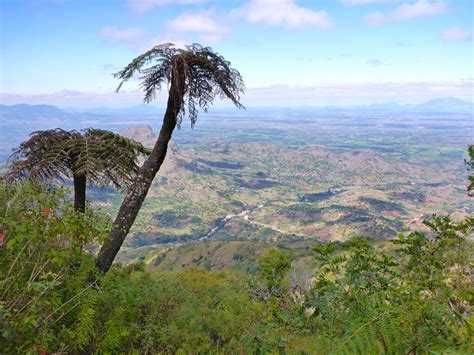 Wild on Arran: Mulanje Mountain