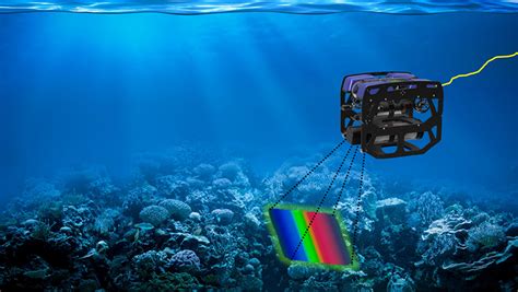 Applied marine hyperspectral imaging; coral bleaching from a spectral viewpoint | Spectroscopy ...